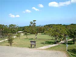 広々とした芝生の公園に遊歩道が整備され、木々が点在し、中央には案内板が立っている開放的な大山野営場外観の写真