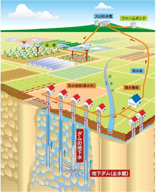農地と地下ダムの仕組みを示す図で、地表には畑やビニールハウス、用水路、揚水機場、ファームポンド、大山吐水槽が描かれ、地下には止水壁で囲まれた琉球石灰岩層に貯留された地下水と複数の取水施設(集水井)があり、矢印で水の流れが示された農業用水の確保方法のイメージ図