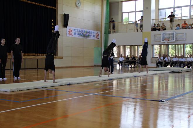 体育館の中央に敷かれた白い体操マット上で複数の人物が逆立ちを行い、周囲には見学者が椅子に座っている写真。