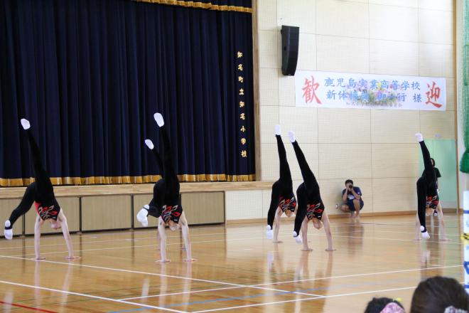 体育館のステージ前で黒と赤の衣装を着た複数の人物が片手で逆立ちをし、足を高く伸ばした姿勢を揃えて演技している写真。