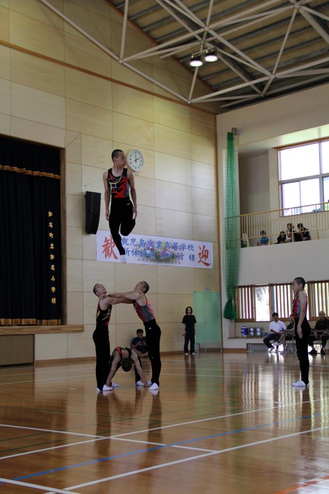 体育館の中央で黒と赤の衣装を着た複数の生徒が組体操を行い、二人が支える上に一人が高く跳び上がる演技を披露している写真