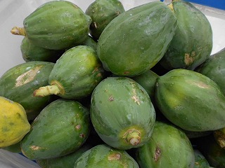 収穫されたばかりの青いパパイヤが、山積みになって大量に並べられた写真