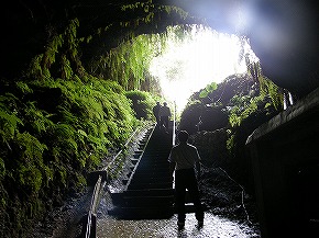 日陰の森の中、コケが生えたような緑色の壁面が左右に広がり、その中央奥へ向かって石段の階段が日光が当たる明るい出口へと伸びている住吉暗川の写真