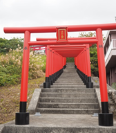 赤い鳥居が階段に沿って連続して並び、最初の鳥居には額縁に文字が掲げられた参道の写真。