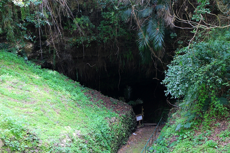 緑に覆われた斜面の間に暗い洞窟の入口があり、周囲には木々やツル植物が垂れ下がり、入口前には案内板と手すり付きの細い道が続く自然豊かな景観の写真。