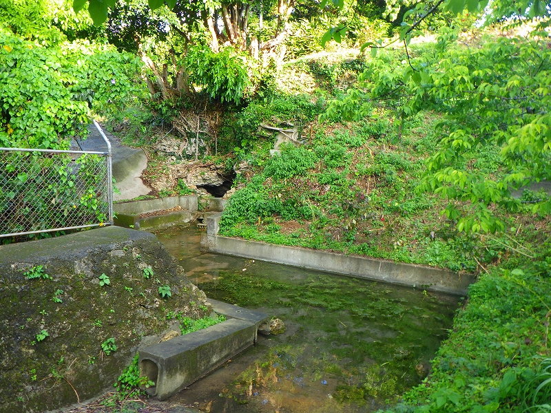 緑に覆われた斜面の間に、コンクリートで囲まれた浅い水路と水溜まりがあり、奥には岩の隙間から水が流れ込むような構造が見え、左側には金属フェンスが設置され、周囲は木々や草に囲まれた風景を写した写真。