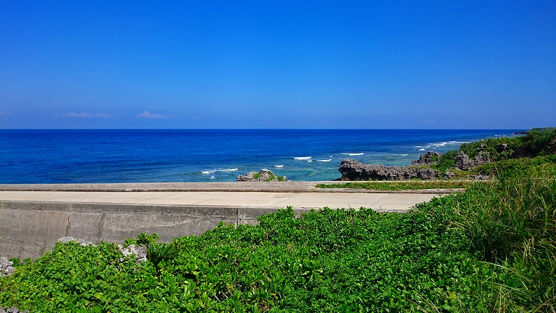 青空の下で深い青色の海と手前には緑の草地とコンクリートの防波堤があり、奥には岩場と穏やかな波が見える開放的な海岸風景の写真。