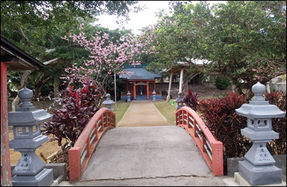 赤い欄干の橋を渡ると、奥に小さな社殿があり、周囲には石灯籠や色鮮やかな植栽が並び、背景には桜の花と緑豊かな木々が広がる日本の伝統的な神社風景を捉えた写真。