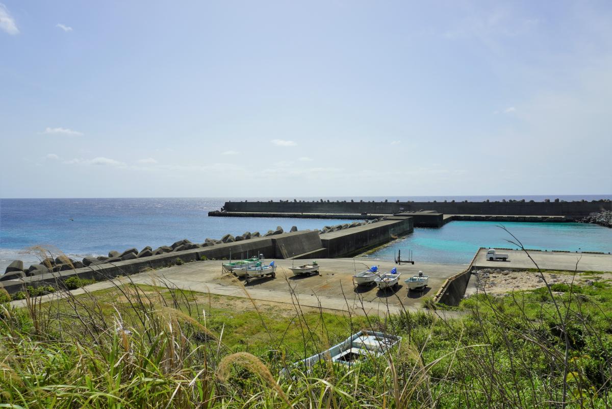 穏やかな青空の下、コンクリートの防波堤とテトラポットに囲まれた静かな漁港に、数艘の白い小型ボートが陸揚げされており、手前には青々とした草むら、遠くには澄んだ青い海が水平線まで広がる住吉港を写した写真