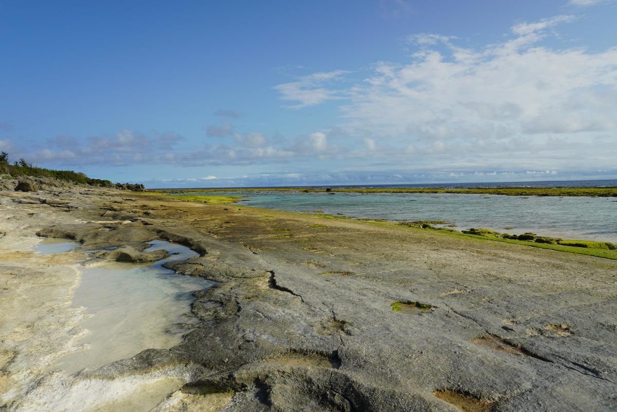 青空と白い雲の下、ごつごつとした岩場の海岸が広がり、沖合にはエメラルドグリーンの遠浅の海が続く写真