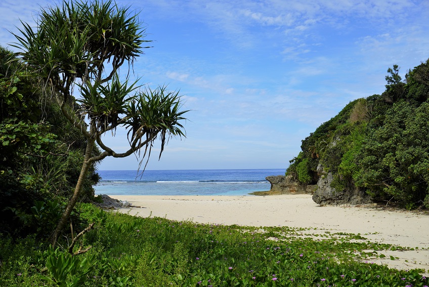 鮮やかな青い空に白い雲が浮かび、手前に緑の草地が広がり、その奥には砂浜と青い海が広がるロケ地の写真