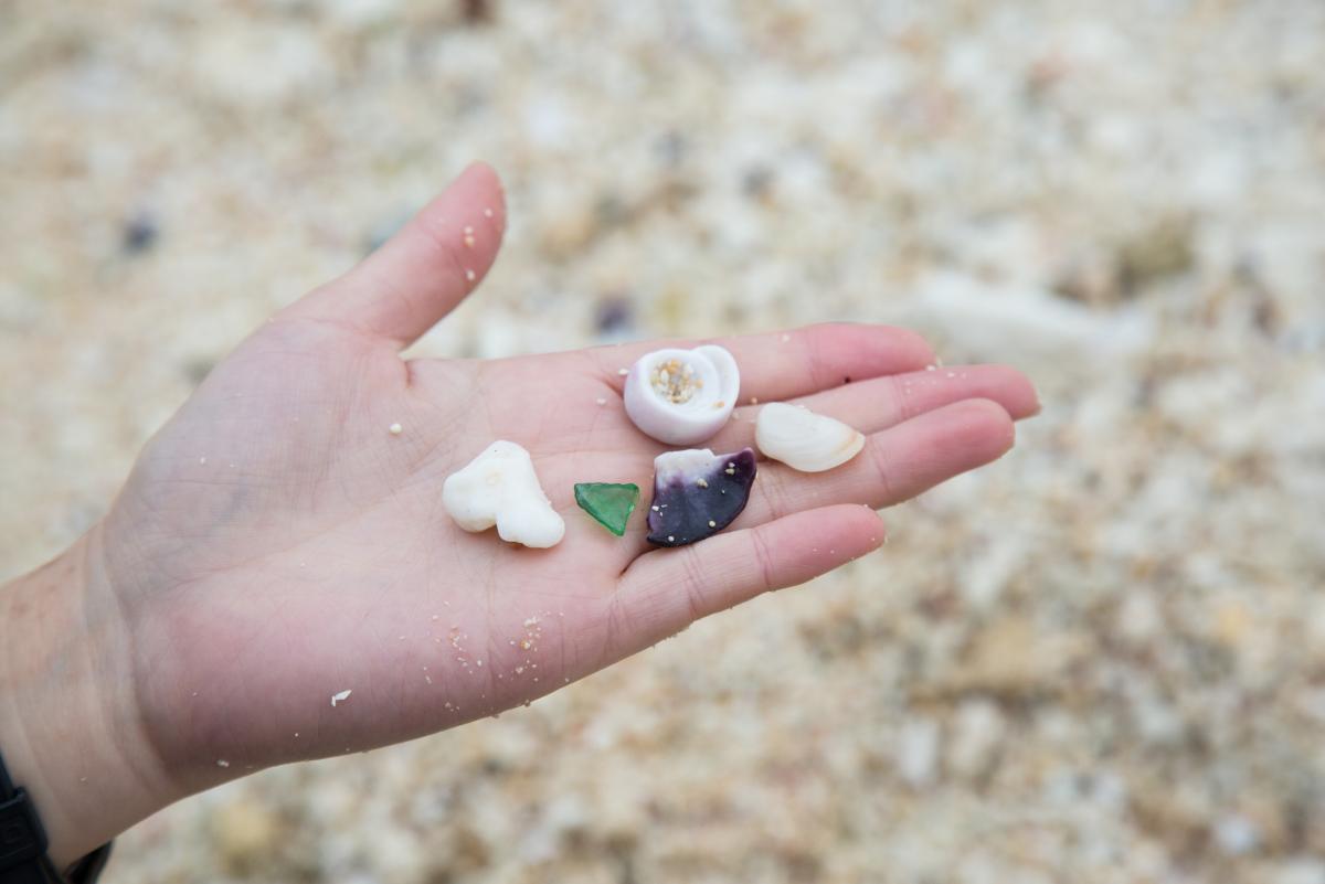 手のひらに、白色や紫色など色の異なる数種類の小さな貝殻と、濃い緑色の小さなシーグラスが乗せられている写真