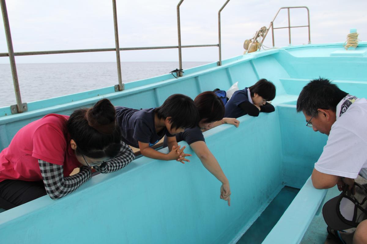 水面に浮かぶ観光船の明るい水色の船縁に、5人の乗客が身を乗り出し、海中が見える船底を覗き込んで指をさしている写真