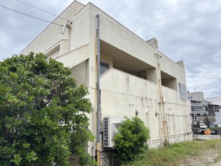 クリーム色のアパートで左側に大きな木が植えられているアパートの外観写真