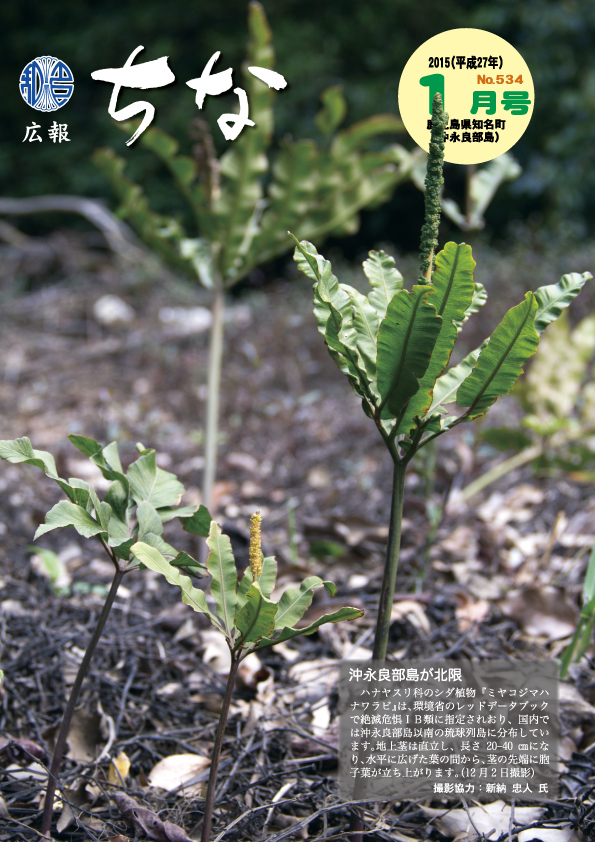 広報ちな2015年1月号表紙