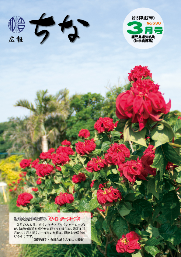 広報ちな2015年3月号表紙