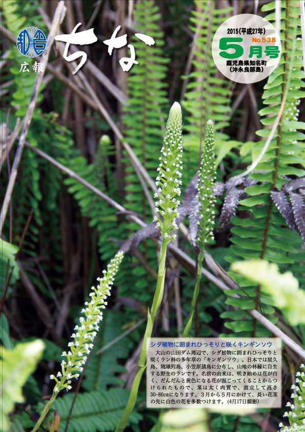 広報ちな2015年5月号表紙