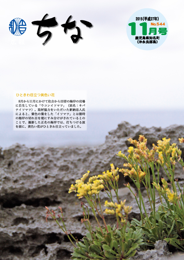 広報ちな2015年11月号表紙