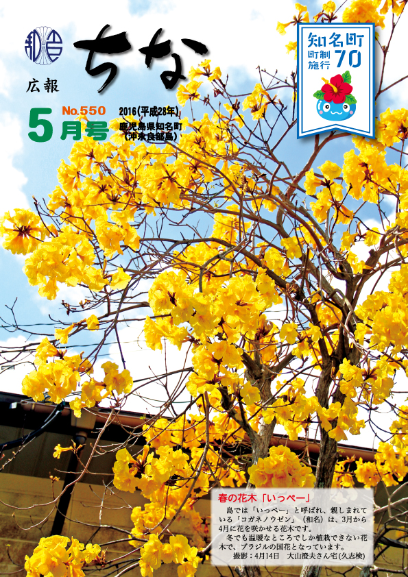 広報ちな2016年5月号表紙