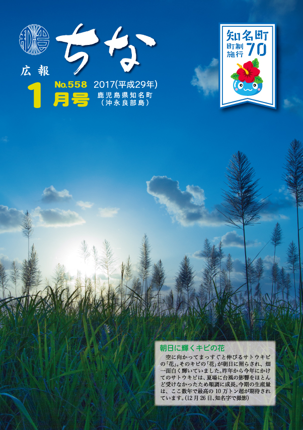 広報ちな2017年1月号表紙