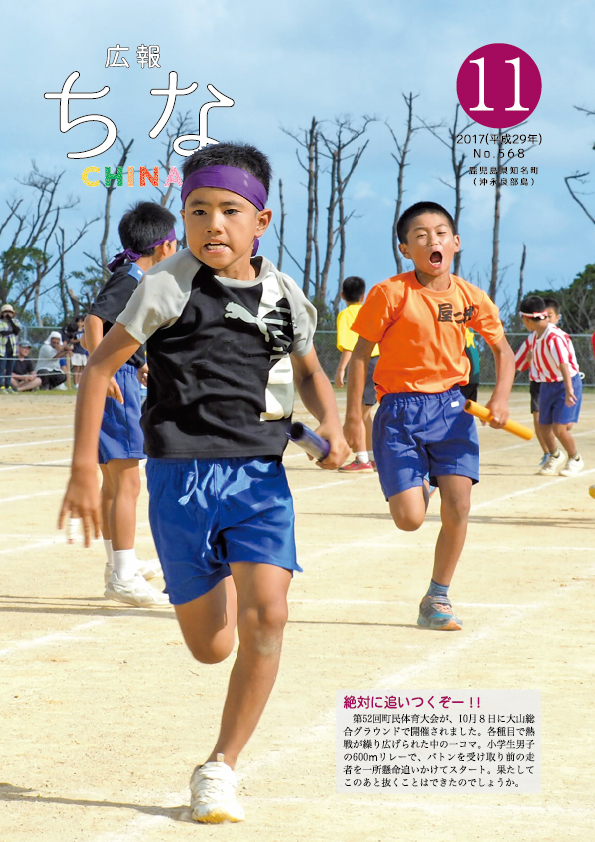 広報ちな2017年11月号表紙