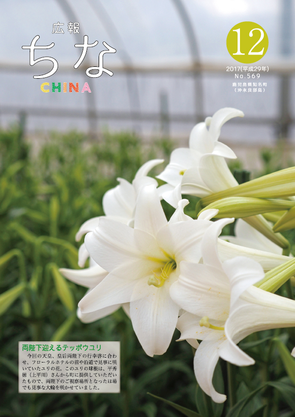 広報ちな2017年12月号表紙