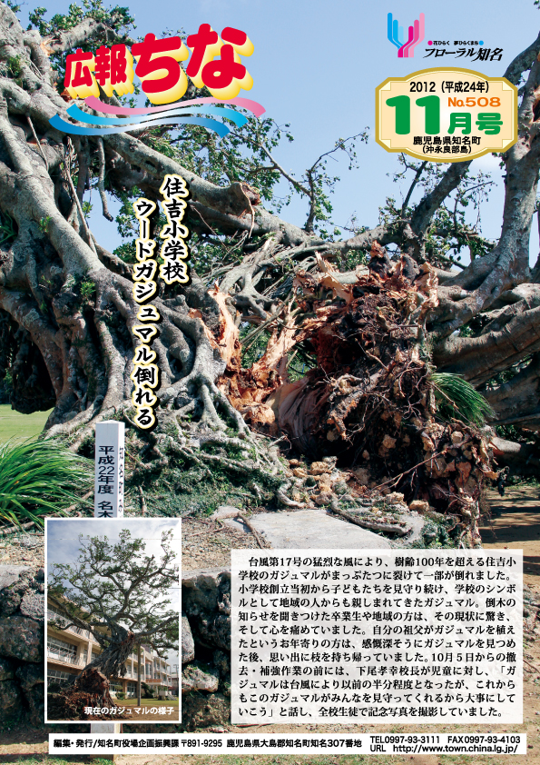 広報ちな2012年11月号表紙