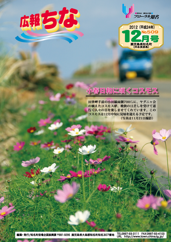 広報ちな2012年12月号表紙