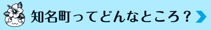 知名町ってどんなとこ？