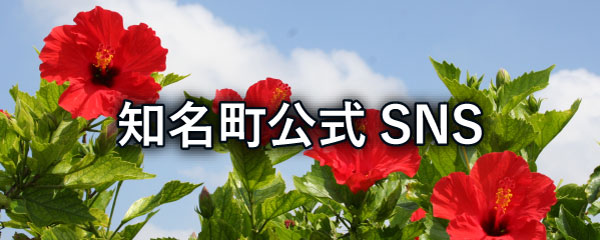 知名町公式SNS