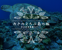 おきのえらぶ島の旅 沖永良部島観光サイト