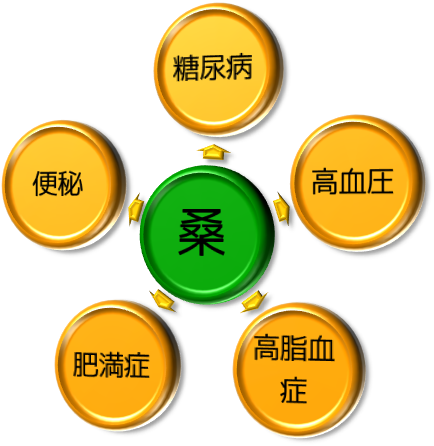 中央の緑色の「桑」を中心に、その周囲の黄色の円の中に「糖尿病」「高血圧」「高脂血症」「肥満症」「便秘」の5つの病名が記載され、それぞれに両方向の矢印でつながっている円環状の関係図