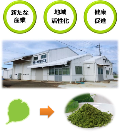 白とグレーを基調とした「えらぶ特産品加工場」の建物の外観が写っており、その上部には「新たな産業」「地域活性化」「健康促進」という3つの緑の円が並び、下部には緑色の葉が茶色の矢印を介して山盛りの緑色の粉末へと変化するイメージが示されている合成画像