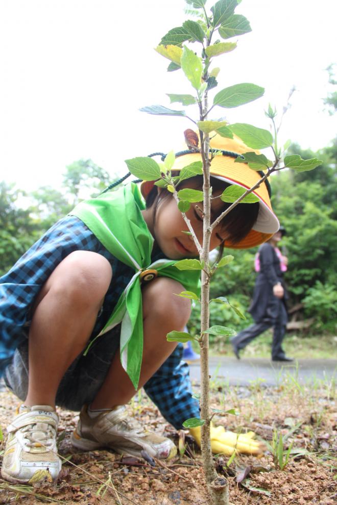 黄色い帽子を被り青と緑のチェック柄のシャツを着た子どもが、低い位置でかがみ込んで植樹している様子の写真
