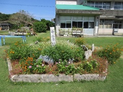 奥には校舎のが見え、コンクリートで囲われた花壇にはオレンジや白などの様々な花や緑の植物が植えられた写真
