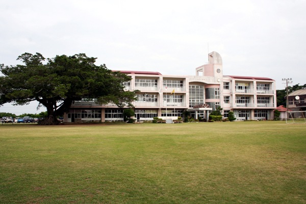 広い芝生のグラウンドの左側には大きなガジュマルが枝を広げて立っている学校の外観を写した写真