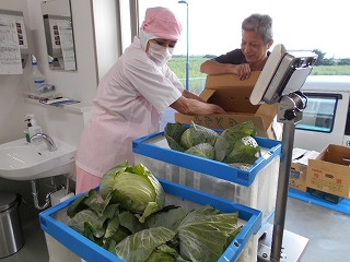 女性が衛生キャップとマスクを着用し、ピンクの作業服を着て、屋外の明るい場所にある作業台で、男性から段ボール箱に入ったキャベツを青い枠のコンテナ入れ計量している写真