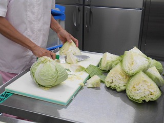 作業服を着た人物が、白いまな板の上で、大量の緑色のキャベツを4分の1にカットし、芯を取り除くなどして、細かく切り分けるための下処理をしている写真