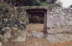 岩の野面積みの低い石垣が中央に左右建ち、中央の通路の奥、鬱蒼とした植物に覆われた斜面には入り口が見える新城花窪ニャート墓の写真