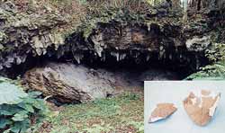 熱帯の森の中にある薄暗い洞窟の入り口が、垂れ下がる鍾乳石と手前の大きな岩で覆われ、右下隅には発掘されたと思われる土器の破片が二つ写っている中甫洞穴の写真