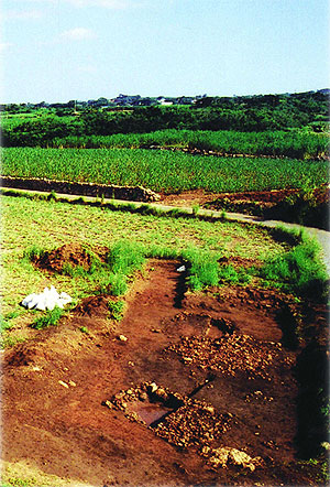 緑に茂った畑と畑を区切る石垣、その手前に茶色い土が掘り起こされ、茶色い破片が散らばる遺跡の発掘現場の写真