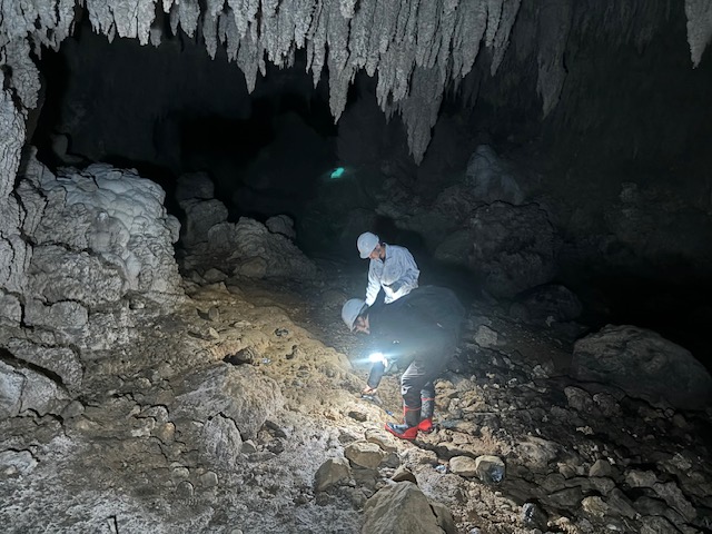 暗い鍾乳洞の内部で、ヘルメットを着用した男性2人がヘッドライトの光を頼りに足元の岩や土壌を熱心に調べている様子が捉えられており、天井からは多数の鍾乳石が垂れ下がっている洞窟探査の写真