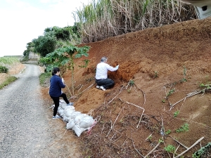 白いシャツの男性がしゃがみこんで土を手で触って確認し、黒い上着の女性が土のう袋の前に立ってその様子を見ている地層の土壌採取の様子の写真