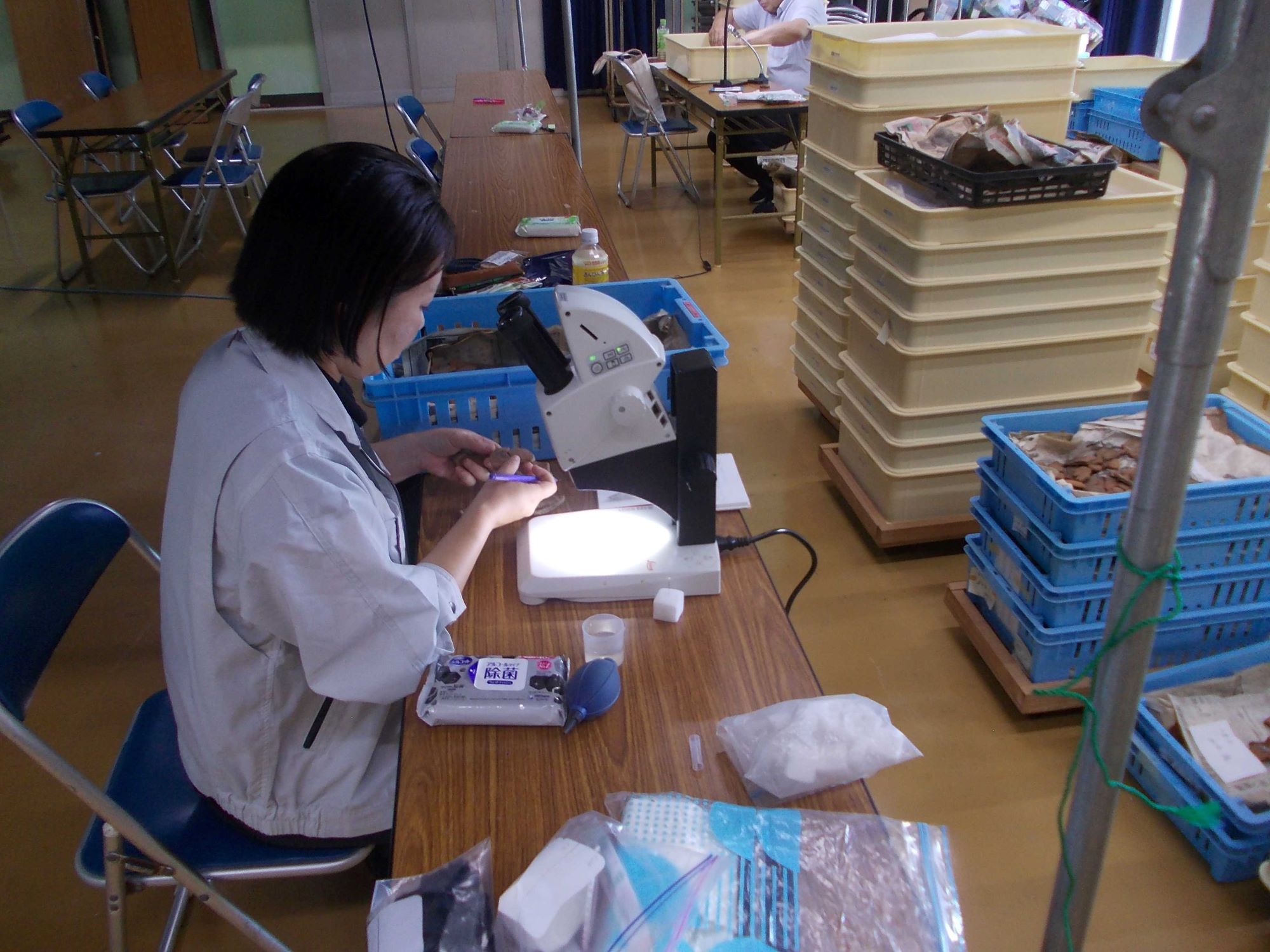 土器の圧痕調査