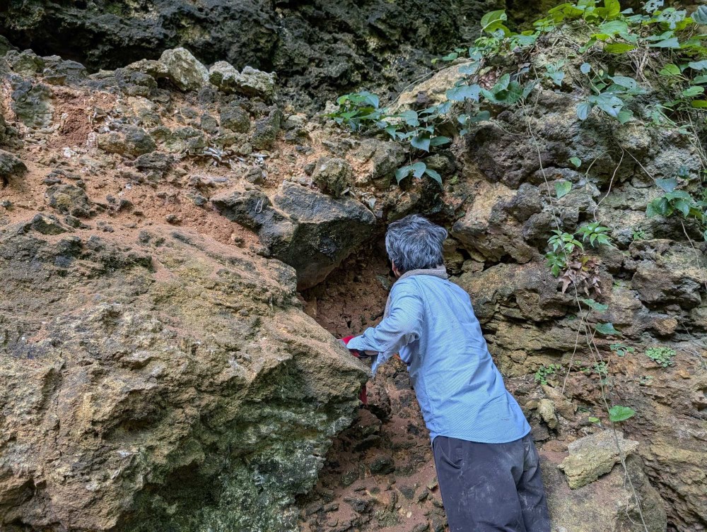 古い人骨の調査