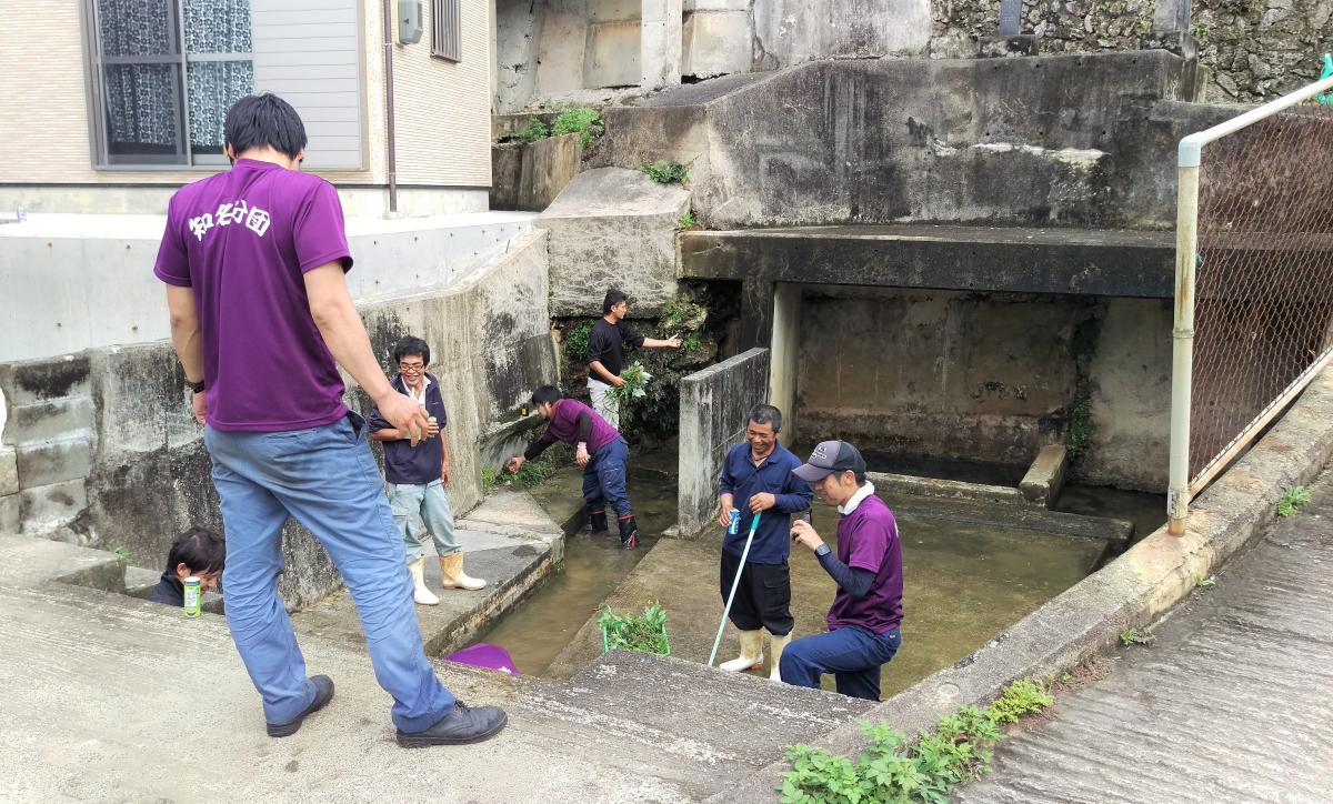 コンクリートの構造物と水路がある場所で、紫のTシャツを着た数人の男性が清掃活動をしている様子を捉えた写真