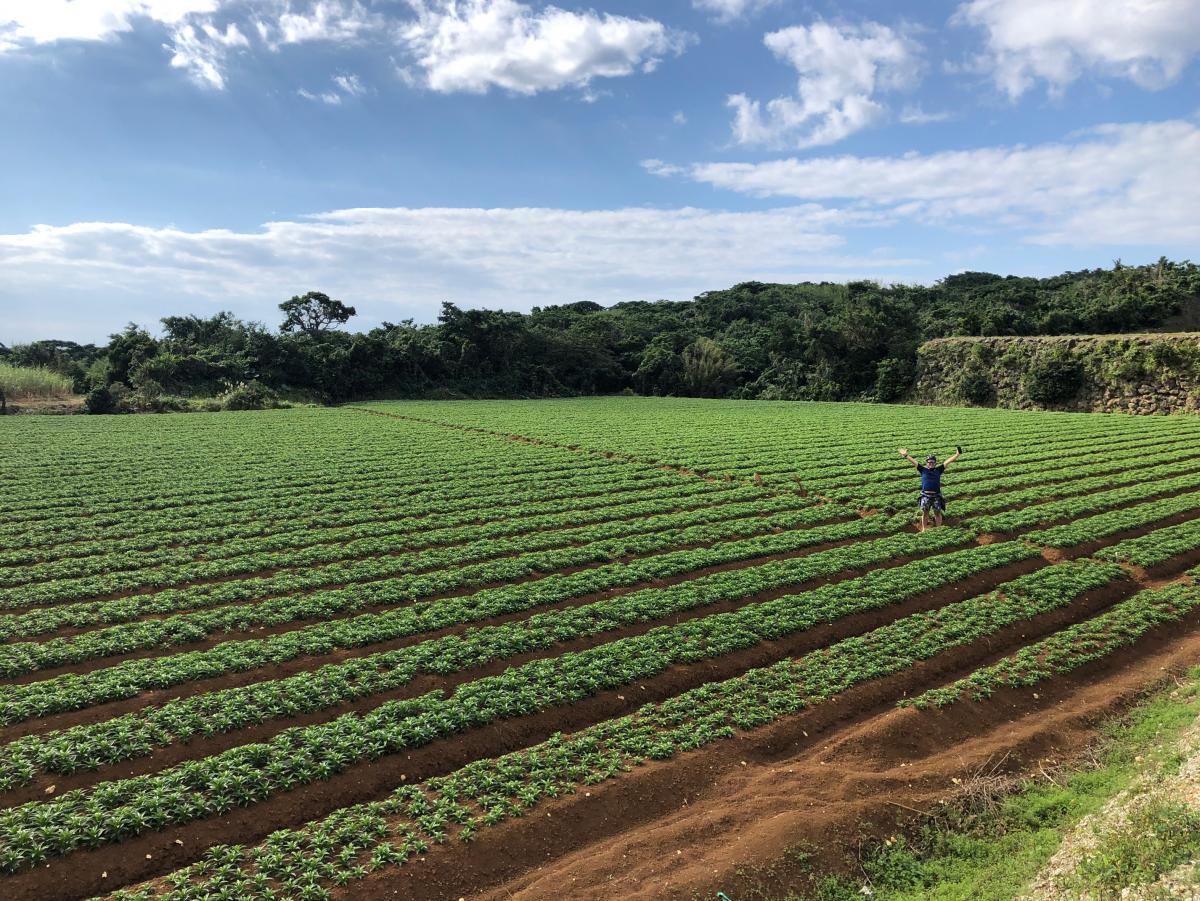 見渡す限り青々と茂る農作物が整然と列をなして植えられた広大な畑の中で、一人の人物が両手を大きく広て開放感あふれるポーズをとっている自然豊かな風景を捉えた写真