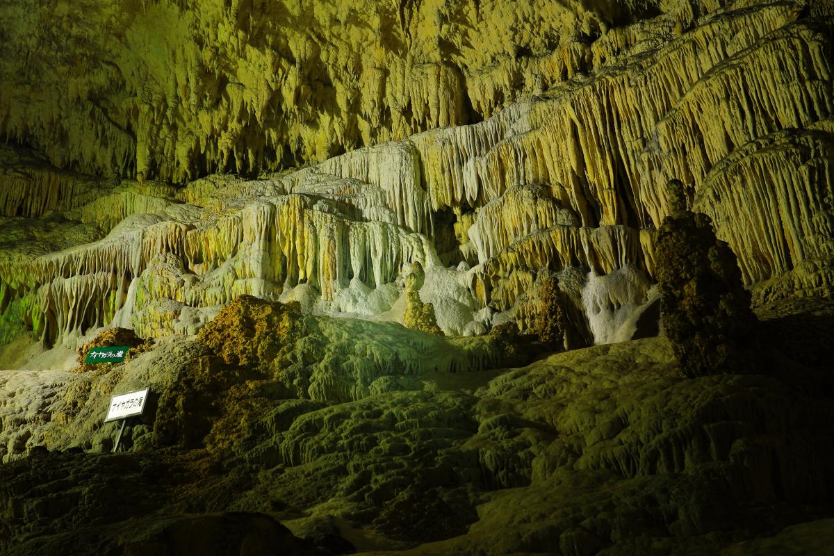 ライトアップされた鍾乳洞の中に広がる巨大な鍾乳石の壁があり、つらら状の石や複雑な凹凸が重なり合う幻想的な光景が広がっている昇竜洞の写真