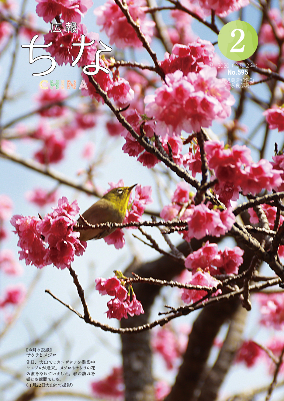 広報ちな2020年2月号の表紙