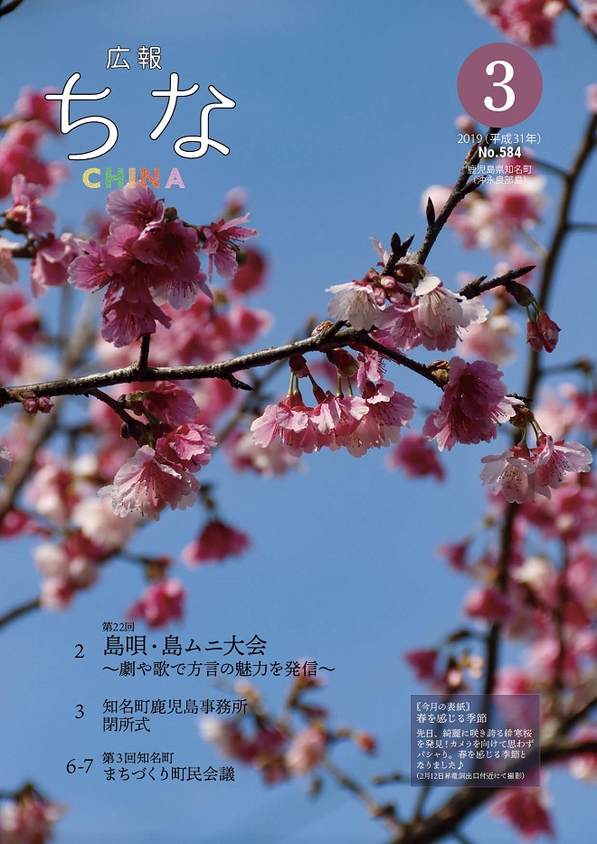 広報ちな2019年3月号表紙